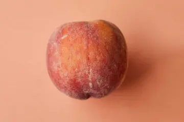 Pantone 13-1023 Peach Fuzz ist die Farbe des Jahres 2024