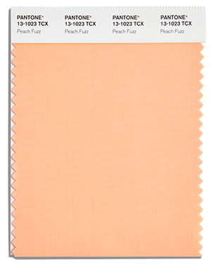 PANTONE Farbe des Jahres 2024 Peach Fuzz 13-1023 Pfirsich - Colour of the Year